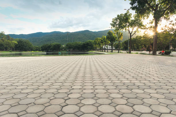 Best Residential Paver Driveway  in Buenaventura Lakes, FL