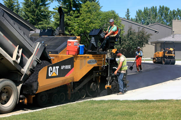 Best Decorative Driveway Pavers  in Buenaventura Lakes, FL